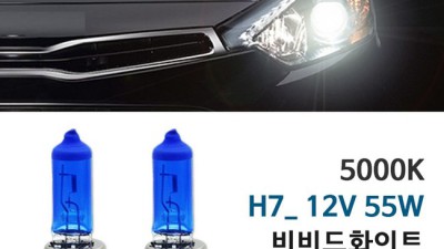 K5 순정 안개등 ✨솔직 후기!✨ 놓치면 후회할 꿀팁 대방출!
